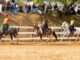 Mariana recebe 6ª Semana do Cavalo Mangalarga Marchador neste fim de semana Mariana recebe 6ª Semana do Cavalo Mangalarga Marchador neste fim de semana