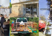 Itabirito: Justiça destina quase R$ 750 mil de penas pecuniárias à Apac, Brigada e PM de Meio Ambiente Itabirito: Justiça destina quase R$ 750 mil de penas pecuniárias à Apac, Brigada e PM de Meio Ambiente
