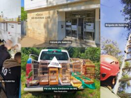 Itabirito: Justiça destina quase R$ 750 mil de penas pecuniárias à Apac, Brigada e PM de Meio Ambiente Itabirito: Justiça destina quase R$ 750 mil de penas pecuniárias à Apac, Brigada e PM de Meio Ambiente