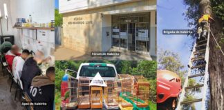 Itabirito: Justiça destina quase R$ 750 mil de penas pecuniárias à Apac, Brigada e PM de Meio Ambiente Itabirito: Justiça destina quase R$ 750 mil de penas pecuniárias à Apac, Brigada e PM de Meio Ambiente