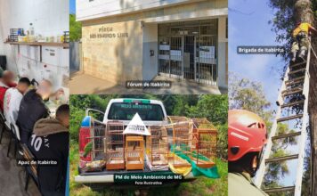 Itabirito: Justiça destina quase R$ 750 mil de penas pecuniárias à Apac, Brigada e PM de Meio Ambiente Itabirito: Justiça destina quase R$ 750 mil de penas pecuniárias à Apac, Brigada e PM de Meio Ambiente