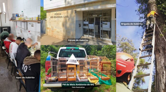 Itabirito: Justiça destina quase R$ 750 mil de penas pecuniárias à Apac, Brigada e PM de Meio Ambiente Itabirito: Justiça destina quase R$ 750 mil de penas pecuniárias à Apac, Brigada e PM de Meio Ambiente