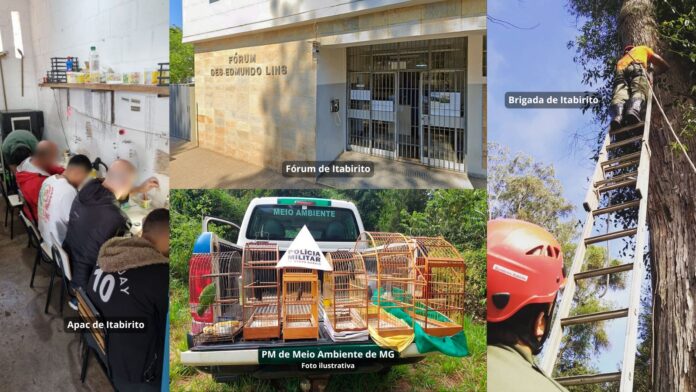Itabirito: Justiça destina quase R$ 750 mil de penas pecuniárias à Apac, Brigada e PM de Meio Ambiente