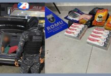 Furta a Drogaria Araujo em Itabirito, se esconde, mas é pego pela GCM após monitoramento por câmeras Furta na Drogaria Araujo, tenta se esconder, mas é pego pela GCM após monitoramento por câmeras