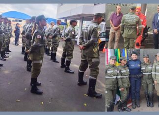 Corpo de Bombeiros forma 12 novos combatentes da Brigada de Itabirito Corpo de Bombeiros forma 12 novos combatentes da Brigada de Itabirito