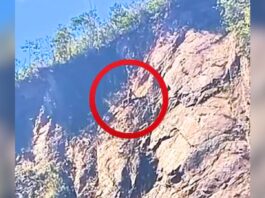 Ouro Preto: homem furta drogaria, escala o Morro da Forca para fugir da PM e mobiliza bombeiros Ouro Preto: homem furta drogaria, escala o Morro da Forca para fugir da PM e mobiliza bombeiros