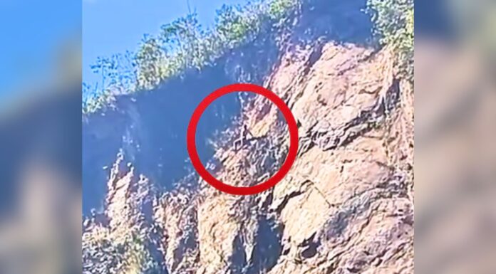 Ouro Preto: homem furta drogaria, escala o Morro da Forca para fugir da PM e mobiliza bombeiros Ouro Preto: homem furta drogaria, escala o Morro da Forca para fugir da PM e mobiliza bombeiros