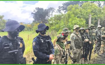 GCM de Itabirito conclui treinamento em São Paulo para reforçar atuação da Patrulha Rural GCM de Itabirito conclui treinamento em São Paulo para reforçar atuação da Patrulha Rural.
