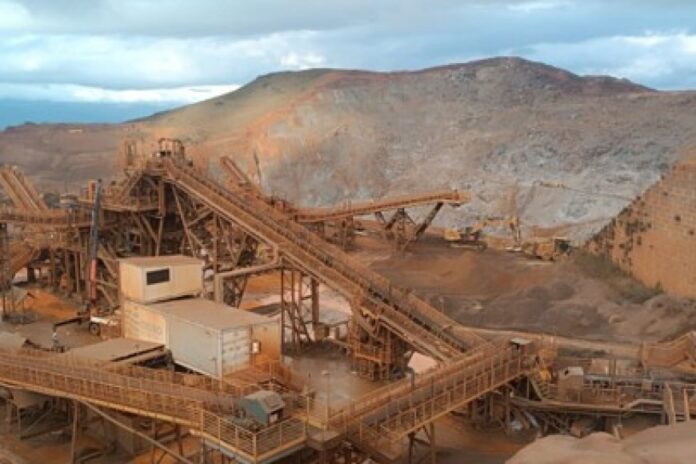 Cedro alia inovação, eficiência produtiva e impacto social em Nova Lima