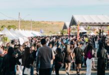 Festival faz sucesso em 13 municípios