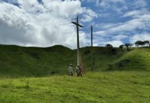 Eletrificação rural recebe investimentos