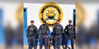 Reforço canino: GCM de Ouro Preto fortalece patrulhamento com novo cão farejador Reforço canino: GCM de Ouro Preto fortalece patrulhamento com novo cão farejador