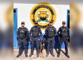 Reforço canino: GCM de Ouro Preto fortalece patrulhamento com novo cão farejador Reforço canino: GCM de Ouro Preto fortalece patrulhamento com novo cão farejador