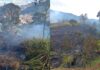 Queimada em lote vago mobiliza Brigada de Itabirito; combatentes usam cerca de 10 mil litros Queimada em lote vago mobiliza Brigada Municipal e consome cerca de 2 mil m² em Itabirito