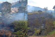 Queimada em lote vago mobiliza Brigada de Itabirito; combatentes usam cerca de 10 mil litros Queimada em lote vago mobiliza Brigada Municipal e consome cerca de 2 mil m² em Itabirito