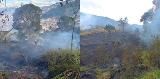Queimada em lote vago mobiliza Brigada de Itabirito; combatentes usam cerca de 10 mil litros Queimada em lote vago mobiliza Brigada Municipal e consome cerca de 2 mil m² em Itabirito