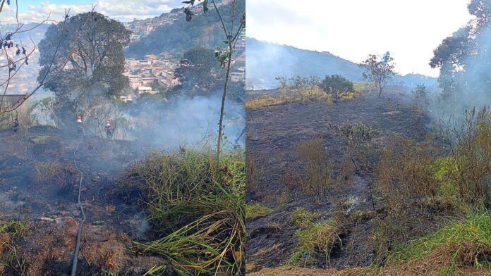 Queimada em lote vago mobiliza Brigada Municipal e consome cerca de 2 mil m² em Itabirito Queimada em lote vago mobiliza Brigada Municipal e consome cerca de 2 mil m² em Itabirito