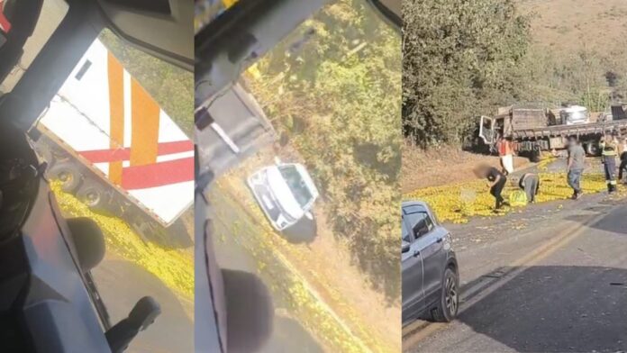 Itabirito: acidente entre 2 carretas e 1 carro na Curva da Celinha espalha carga de laranjas pela BR-040