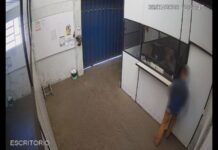 Itabirito: homem tenta furtar estabelecimento comercial no bairro Lourdes, mas é pego pela GCM Itabirito: homem tenta furtar estabelecimento comercial no bairro Lourdes, mas é pego pela GCM