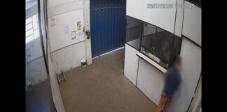 Itabirito: homem tenta furtar estabelecimento comercial no bairro Lourdes, mas é pego pela GCM Itabirito: homem tenta furtar estabelecimento comercial no bairro Lourdes, mas é pego pela GCM