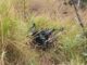 BR-356: moto roubada é encontrada escondida em mata às margens da Serra da Santa, em Itabirito BR-356: moto roubada é encontrada escondida em mata às margens da Serra da Santa, em Itabirito