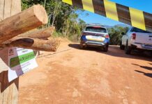 Desmatamento em Itabirito: área em zona de proteção de 280 mil m² no Itaubira recebe nova fiscalização Desmatamento em Itabirito: área em zona de proteção de 280 mil m² no Itaubira recebe nova fiscalização