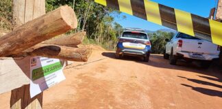 Desmatamento em Itabirito: área em zona de proteção de 280 mil m² no Itaubira recebe nova fiscalização Desmatamento em Itabirito: área em zona de proteção de 280 mil m² no Itaubira recebe nova fiscalização