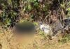 Homem é encontrado morto em Monsenhor Horta, Mariana Homem é encontrado morto em Monsenhor Horta, Mariana