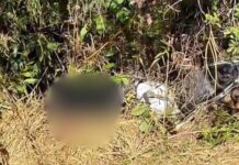 Homem é encontrado morto em Monsenhor Horta, Mariana Homem é encontrado morto em Monsenhor Horta, Mariana