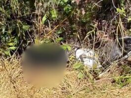 Homem é encontrado morto em Monsenhor Horta, Mariana Homem é encontrado morto em Monsenhor Horta, Mariana