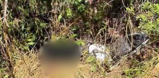 Homem é encontrado morto em Monsenhor Horta, Mariana Homem é encontrado morto em Monsenhor Horta, Mariana