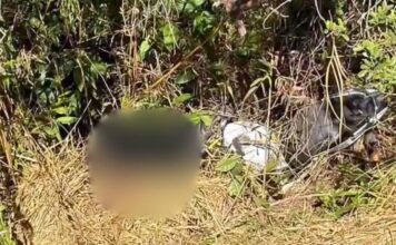 Homem é encontrado morto em Monsenhor Horta, Mariana Homem é encontrado morto em Monsenhor Horta, Mariana