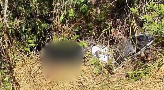 Homem é encontrado morto em Monsenhor Horta, Mariana Homem é encontrado morto em Monsenhor Horta, Mariana