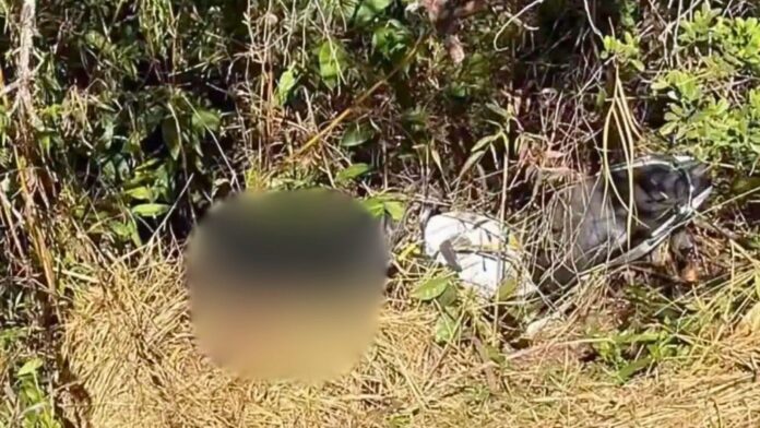 Homem é encontrado morto em Monsenhor Horta, Mariana