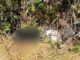 Homem é encontrado morto em Monsenhor Horta, Mariana Homem é encontrado morto em Monsenhor Horta, Mariana