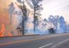 Nova Lima e Conselheiro Lafaiete estão entre as cidades com mais incêndios às margens da BR-040 Nova Lima e Conselheiro Lafaiete estão entre as cidades com mais incêndios às margens da BR-040