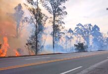 Nova Lima e Conselheiro Lafaiete estão entre as cidades com mais incêndios às margens da BR-040 Nova Lima e Conselheiro Lafaiete estão entre as cidades com mais incêndios às margens da BR-040
