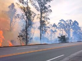 Nova Lima e Conselheiro Lafaiete estão entre as cidades com mais incêndios às margens da BR-040 Nova Lima e Conselheiro Lafaiete estão entre as cidades com mais incêndios às margens da BR-040