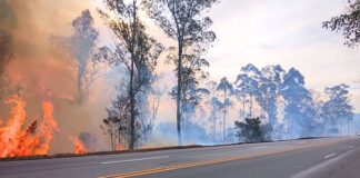Nova Lima e Conselheiro Lafaiete estão entre as cidades com mais incêndios às margens da BR-040 Nova Lima e Conselheiro Lafaiete estão entre as cidades com mais incêndios às margens da BR-040