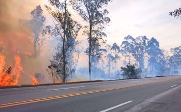 Nova Lima e Conselheiro Lafaiete estão entre as cidades com mais incêndios às margens da BR-040 Nova Lima e Conselheiro Lafaiete estão entre as cidades com mais incêndios às margens da BR-040
