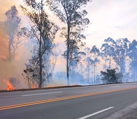 Nova Lima e Conselheiro Lafaiete estão entre as cidades com mais incêndios às margens da BR-040 Nova Lima e Conselheiro Lafaiete estão entre as cidades com mais incêndios às margens da BR-040