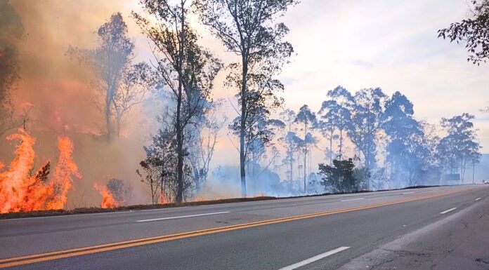 Nova Lima e Conselheiro Lafaiete estão entre as cidades com mais incêndios às margens da BR-040 Nova Lima e Conselheiro Lafaiete estão entre as cidades com mais incêndios às margens da BR-040