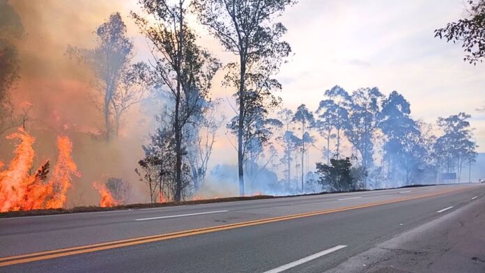 Nova Lima e Conselheiro Lafaiete estão entre as cidades com mais incêndios às margens da BR-040 Nova Lima e Conselheiro Lafaiete estão entre as cidades com mais incêndios às margens da BR-040