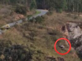 Ouro Preto: viatura da GCM despenca em ribanceira e quase cai em voçoroca na Chapada Ouro Preto: desengrenada, viatura da GCM despenca em ribanceira e quase cai em voçoroca na Chapada