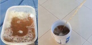Ouro Preto: moradores denunciam ‘água marrom’ em Amarantina; Saneouro investiga situação Ouro Preto: moradores denunciam 'água marrom' em Amarantina; Saneouro investiga situação