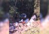 BR-356, Itabirito: caminhão com batatas bate e despenca em ribanceira de 100 metros na Serra da Santa BR-356, Itabirito: caminhão com batatas bate e despenca em ribanceira de 100 metros na Serra da Santa