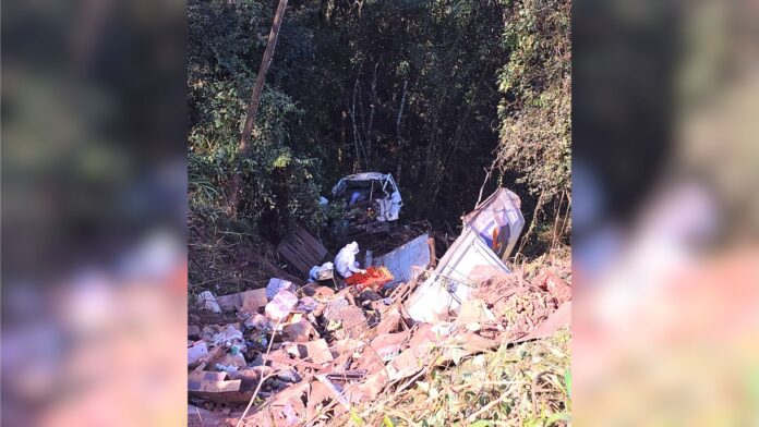 BR-356, Itabirito: caminhão com batatas bate e despenca em ribanceira de 100 metros na Serra da Santa BR-356, Itabirito: caminhão com batatas bate e despenca em ribanceira de 100 metros na Serra da Santa