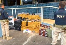 MG: armas, motos roubadas e mais de meia tonelada de drogas são encontradas em caminhão na BR-381 Armas, motos roubadas e mais de meia tonelada de drogas são encontradas em caminhão na BR-381