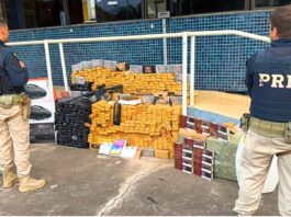 MG: armas, motos roubadas e mais de meia tonelada de drogas são encontradas em caminhão na BR-381 Armas, motos roubadas e mais de meia tonelada de drogas são encontradas em caminhão na BR-381
