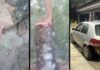 Jovem de Itabirito passa 3h escondido em buraco ao ser emboscado e ter carro roubado nos Coelhos Jovem de Itabirito passa 3h escondido em buraco ao ser emboscado e ter carro roubado nos Coelhos